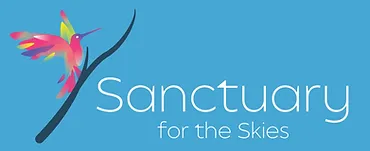 Sanctuary for The Skies